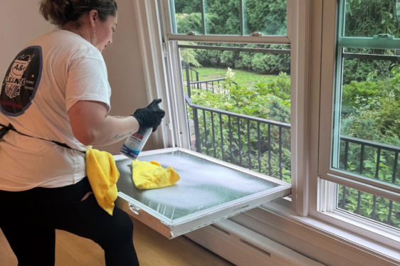 Window Cleaning - Before